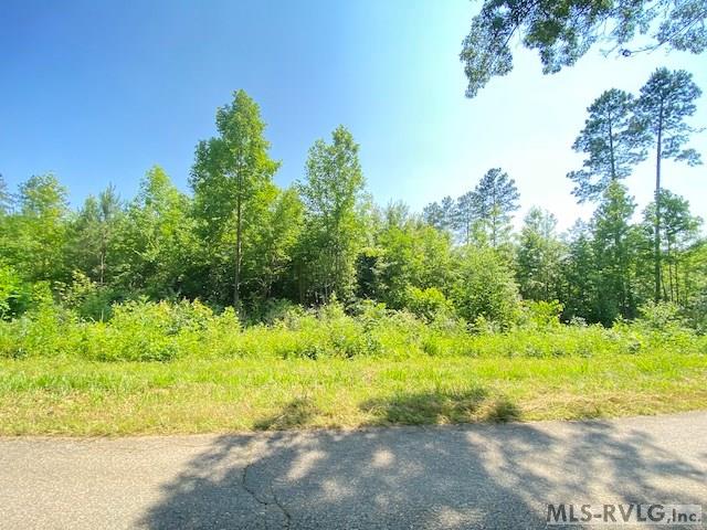 Tbd Old Indian Road Property Photo 2
