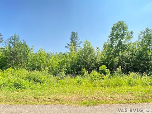 Tbd Old Indian Road Property Photo 6