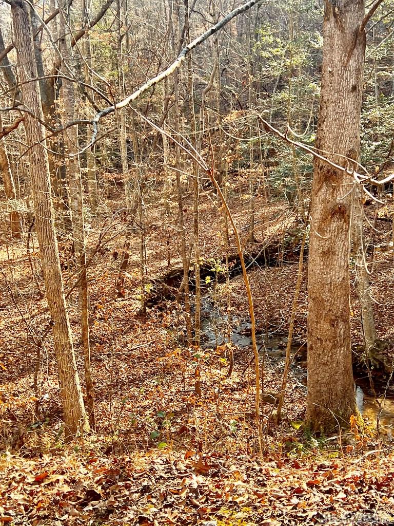 46 Buckhead Drive Property Photo 3