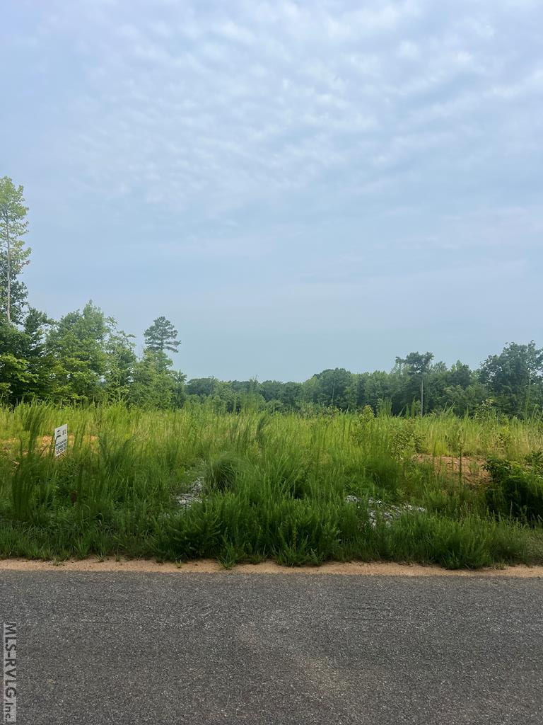 Lot 1 Brown Town Road Property Photo 2