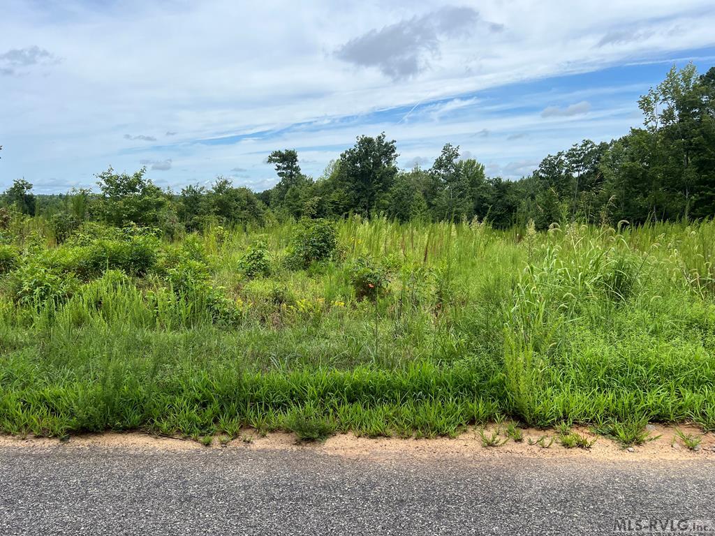 Lot 2 Brown Town Road Property Photo 3