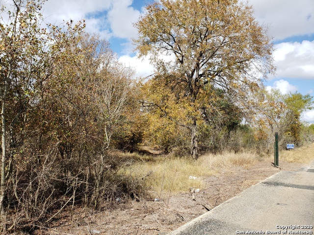 Lot 15 County Road 763 Property Photo 2
