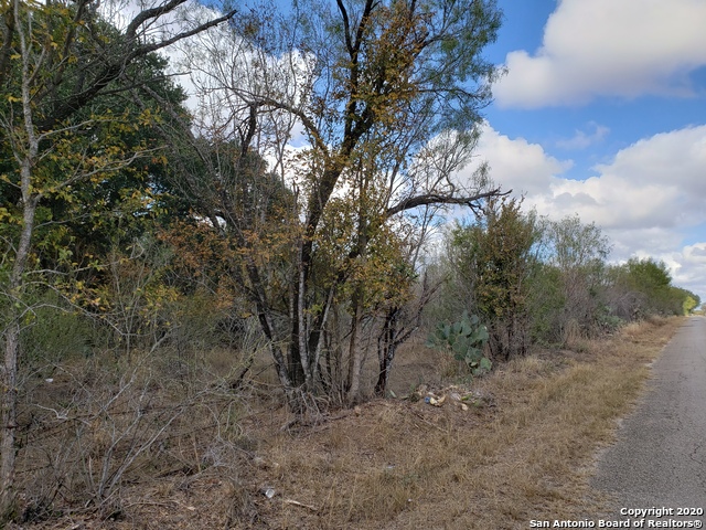 Lot 15 County Road 763 Property Photo 3