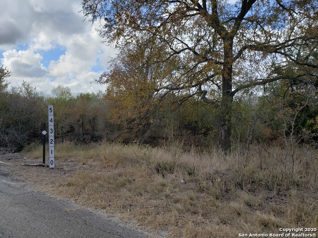 Lot 15 County Road 763 Property Photo 6