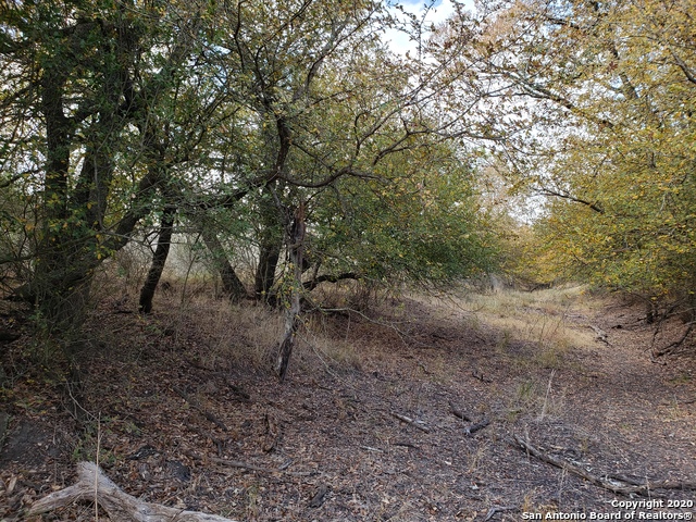 Lot 15 County Road 763 Property Photo 7