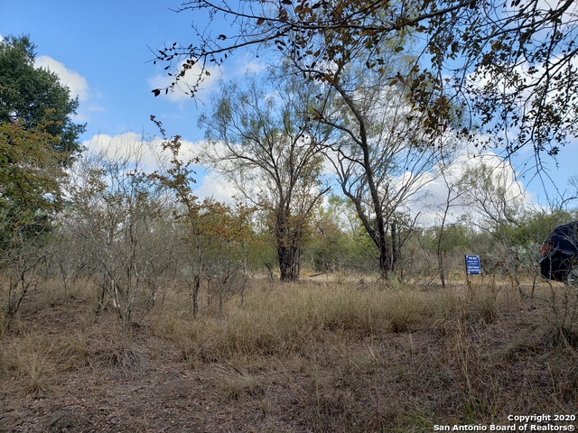 Lot 15 County Road 763 Property Photo 9
