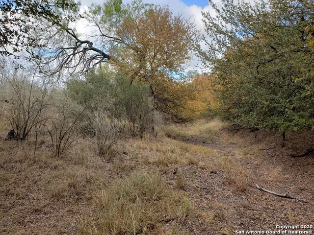 Lot 15 County Road 763 Property Photo 10
