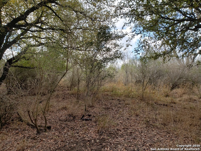 Lot 15 County Road 763 Property Photo 11