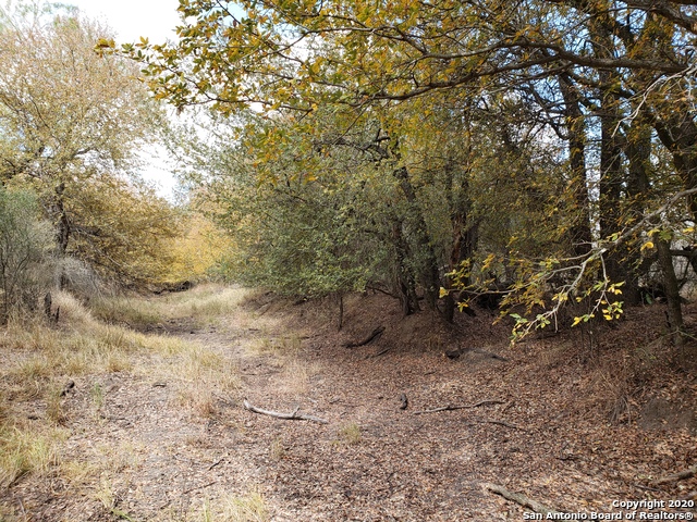 Lot 15 County Road 763 Property Photo 13