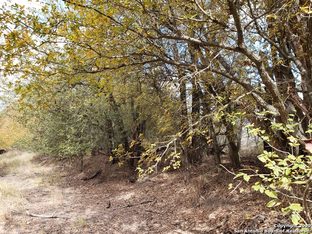 Lot 15 County Road 763 Property Photo 14