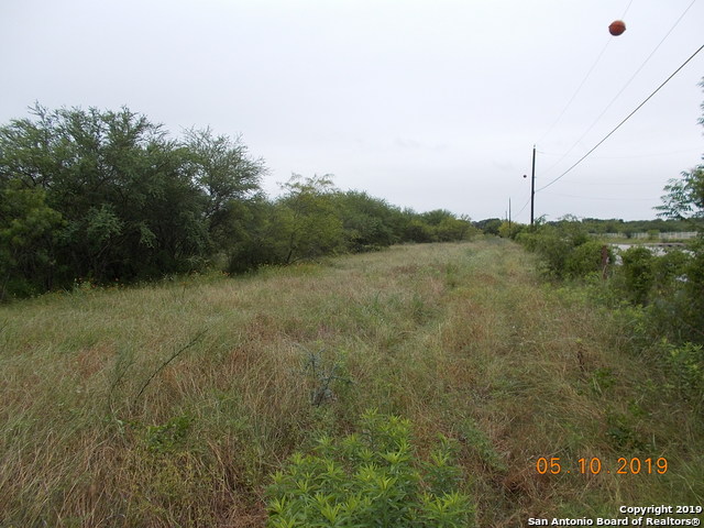 11025 And 11278 Lower Seguin Road Property Photo 1