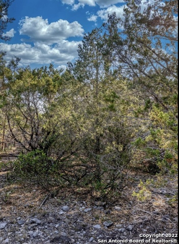 024 Leona Ranch Property Photo 8