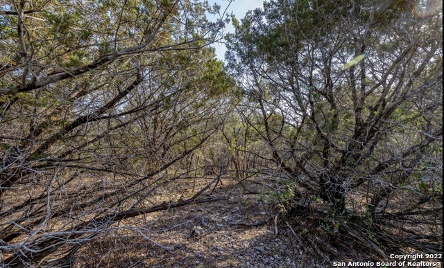 024 Leona Ranch Property Photo 10