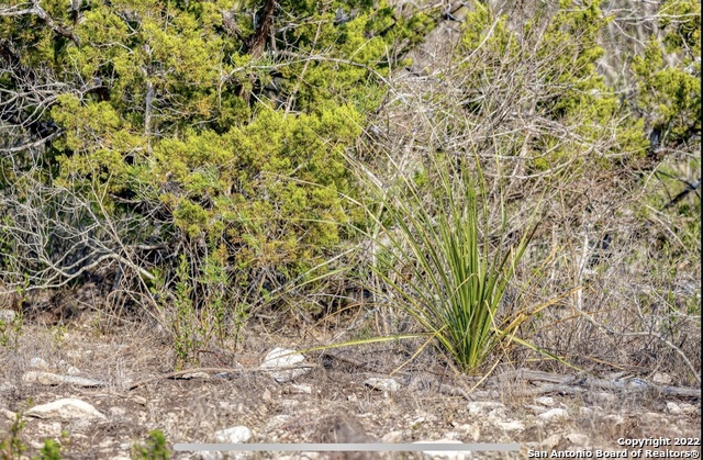 024 Leona Ranch Property Photo 11