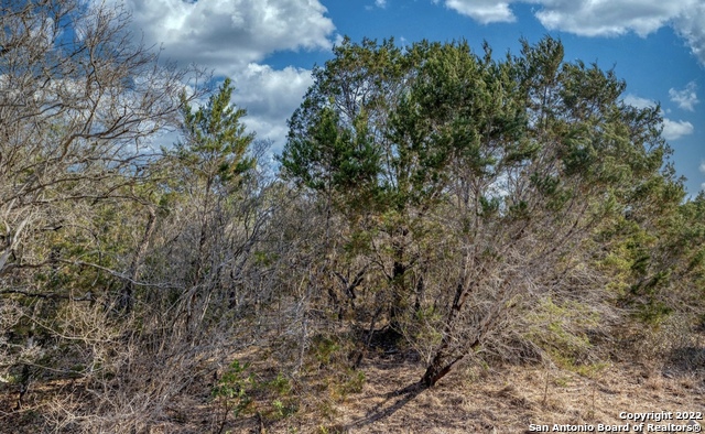 024 Leona Ranch Property Photo 13