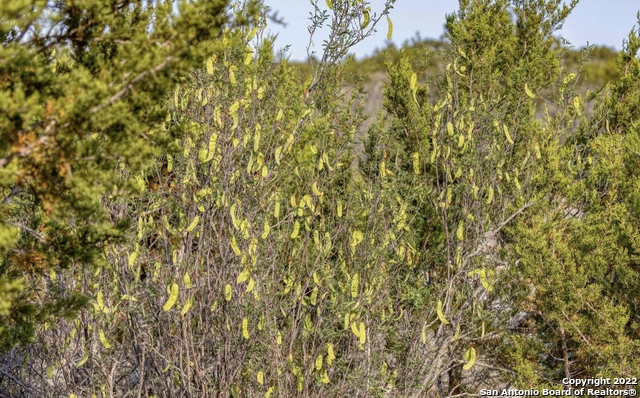 024 Leona Ranch Property Photo 17