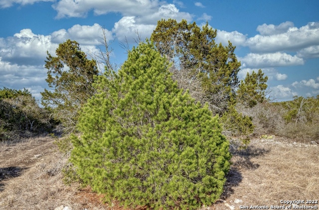 024 Leona Ranch Property Photo 18