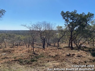 0 State Hwy 46 Property Photo 5