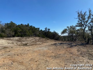 0 State Hwy 46 Property Photo 6