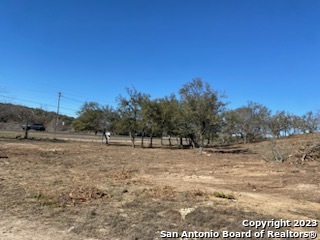 0 State Hwy 46 Property Photo 8