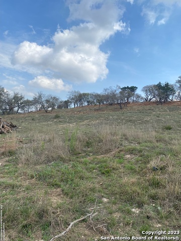 0 State Hwy 46 Property Photo 9