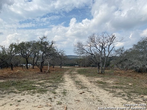 0 State Hwy 46 Property Photo 11