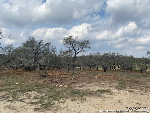 0 State Hwy 46 Property Photo 12