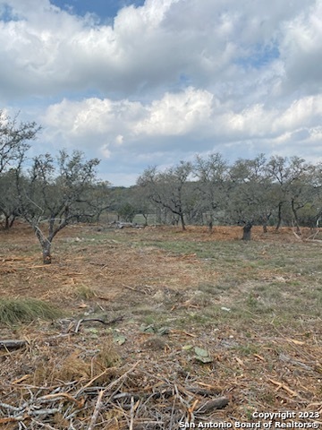 0 State Hwy 46 Property Photo 14