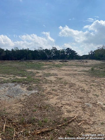 0 State Hwy 46 Property Photo 15