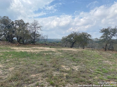 0 State Hwy 46 Property Photo 16
