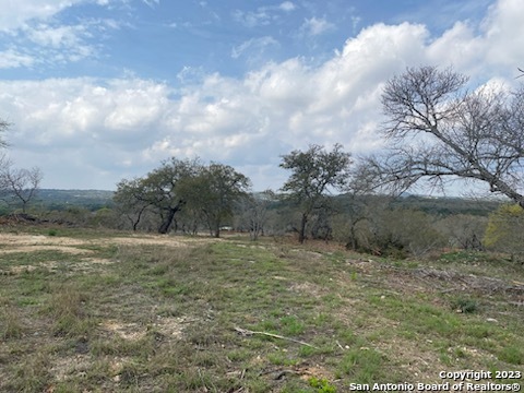 0 State Hwy 46 Property Photo 17