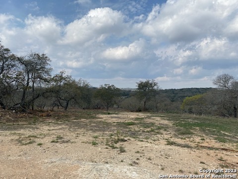 0 State Hwy 46 Property Photo 18