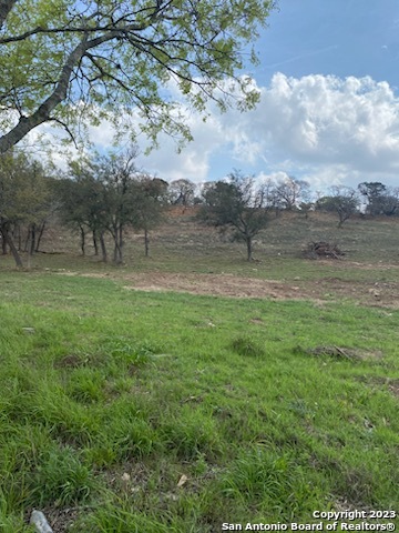 0 State Hwy 46 Property Photo 22