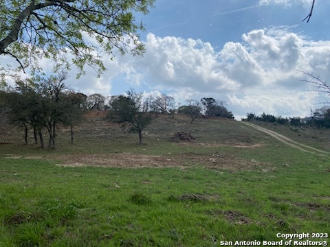 0 State Hwy 46 Property Photo 23