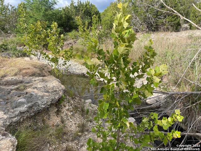 326 Rocky Creek Rd Property Photo 32