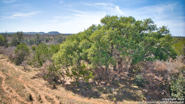 19316 Ranch Road 1871 Property Photo 36
