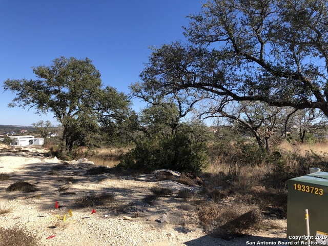 23122 Tablerock Way Property Photo 14