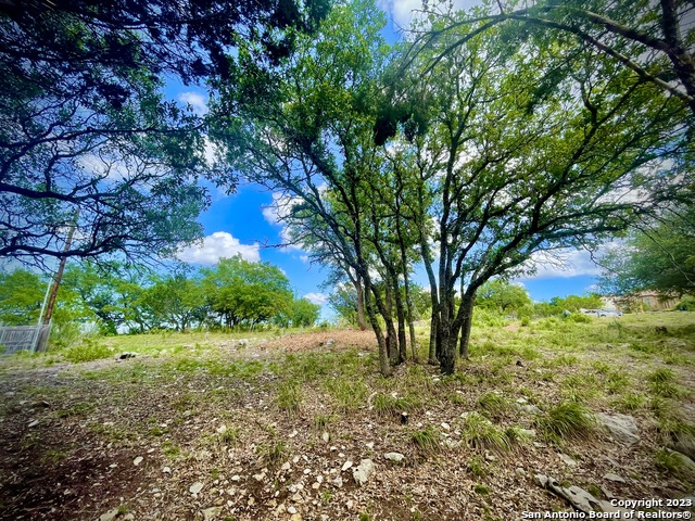 127 Champions Vw Property Photo 3