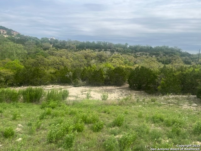 10006 Ivory Canyon Property Photo 2