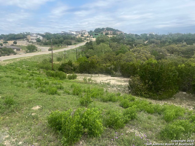 10006 Ivory Canyon Property Photo 3
