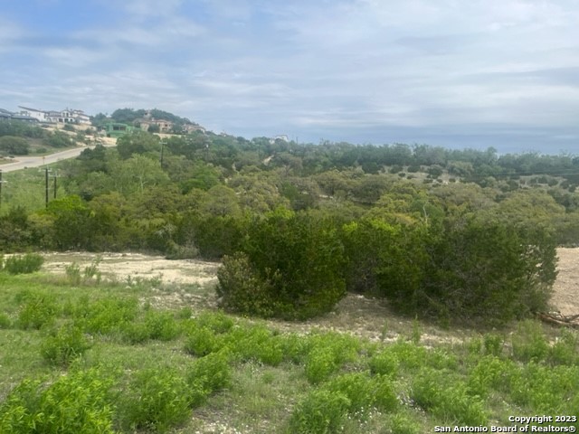 10006 Ivory Canyon Property Photo 5