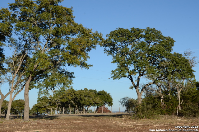Lot 12/13 Byrd Ranch Road Property Photo 10