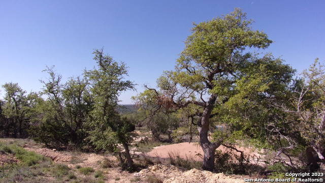 Lot 12/13 Byrd Ranch Road Property Photo 11