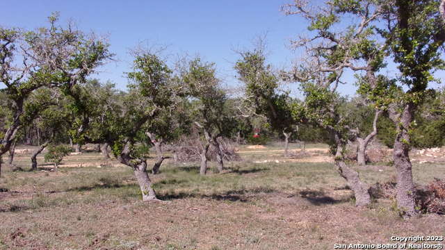 Lot 12/13 Byrd Ranch Road Property Photo 13