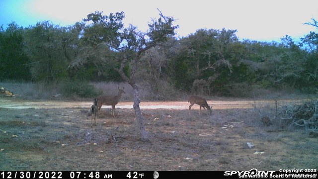 Lot 12/13 Byrd Ranch Road Property Photo 23