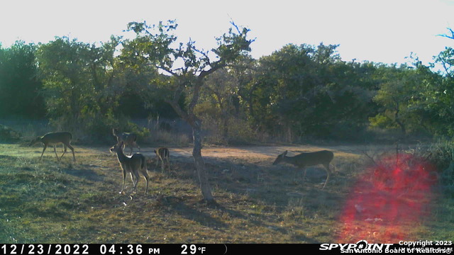 Lot 12/13 Byrd Ranch Road Property Photo 24