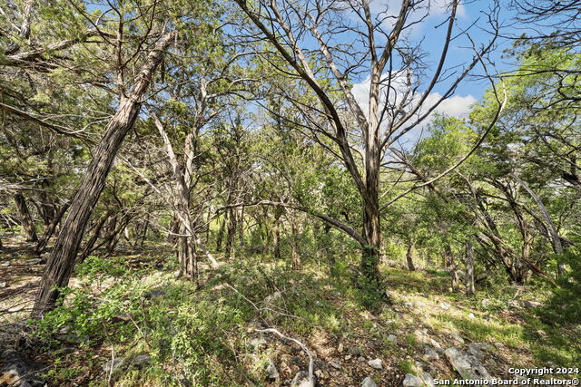 1485 Stahlman Way Property Photo 3