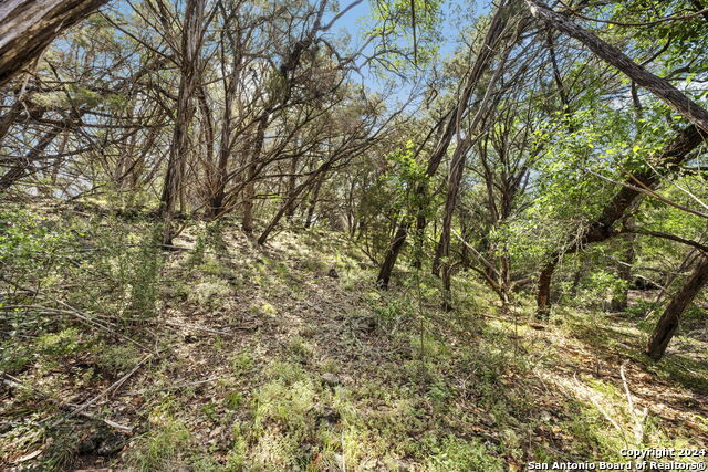 1485 Stahlman Way Property Photo 4
