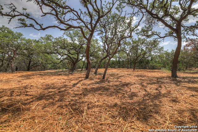 1154 Madrone Rd Property Photo 4