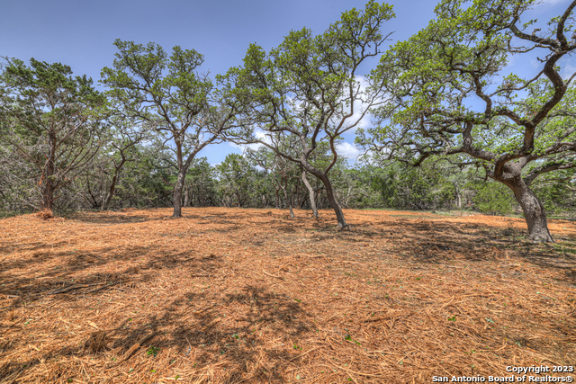 1154 Madrone Rd Property Photo 5